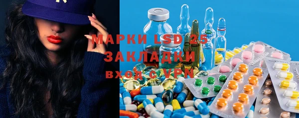 гашик Алзамай