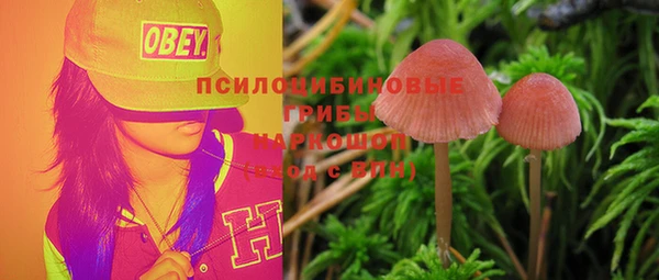 гашик Алзамай